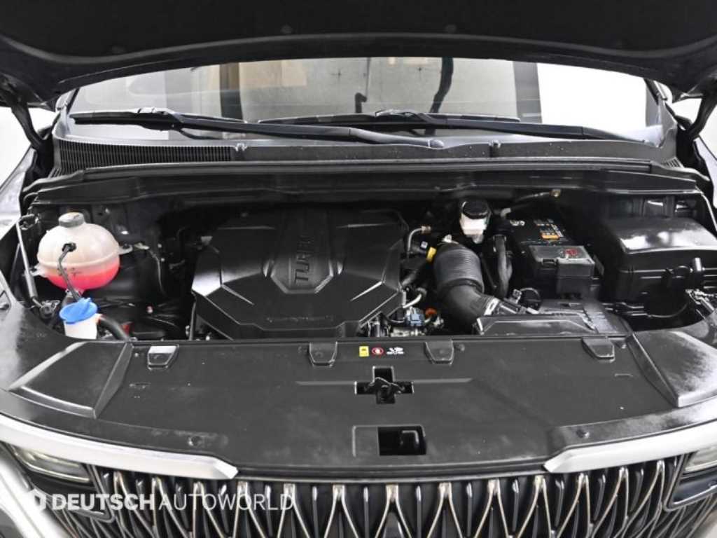 KIA Carnival - Vista 6