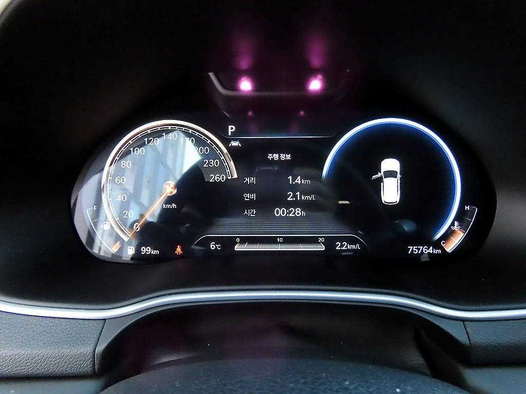 Genesis GV80 - Vista 9