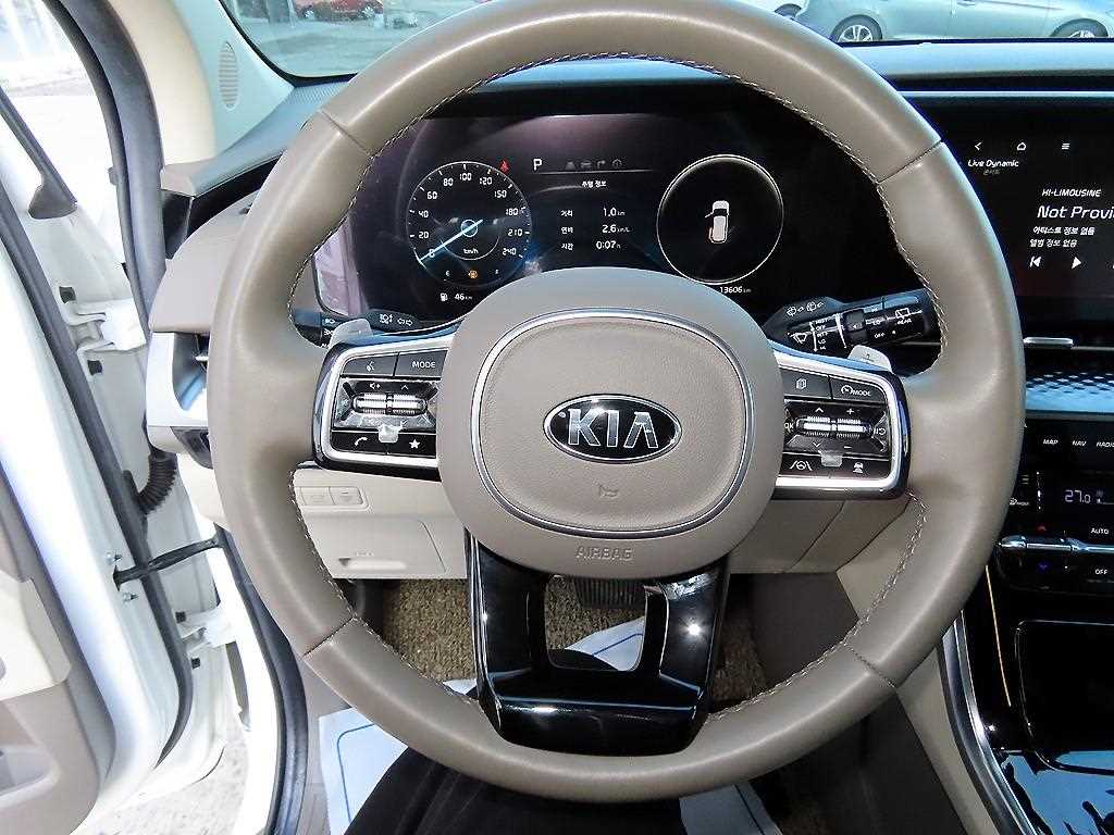 KIA Carnival - Vista 9