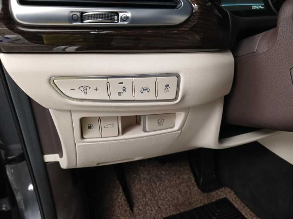 Genesis EQ900 - Vista 12