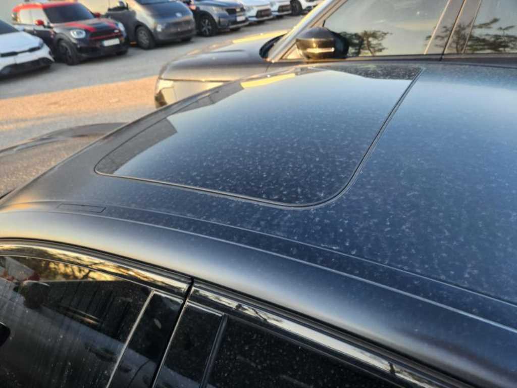 BMW 5 Series - Vista 4