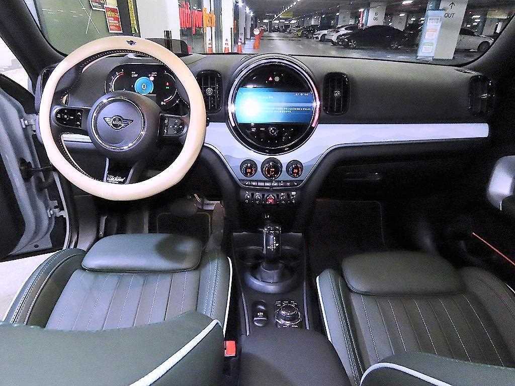 Mini Countryman - Vista 10