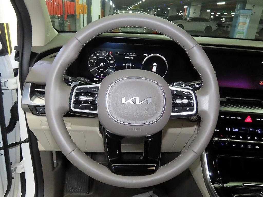 KIA Carnival - Vista 8