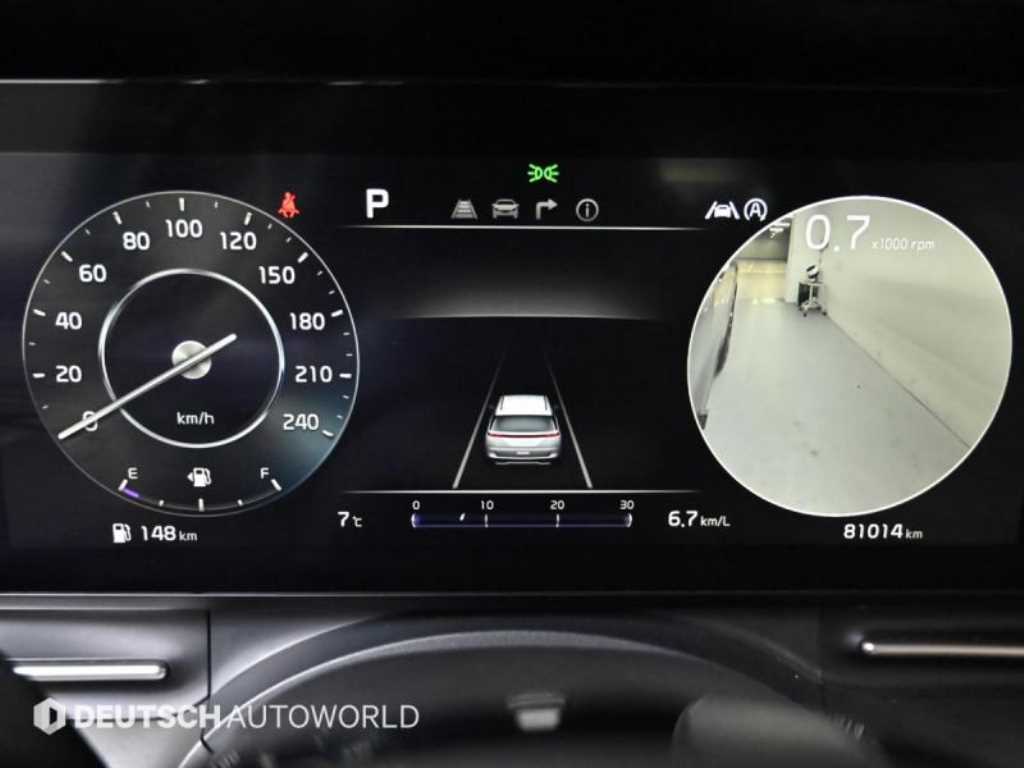 KIA Carnival - Vista 8