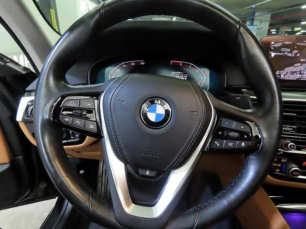 BMW 5 Series - Vista 8