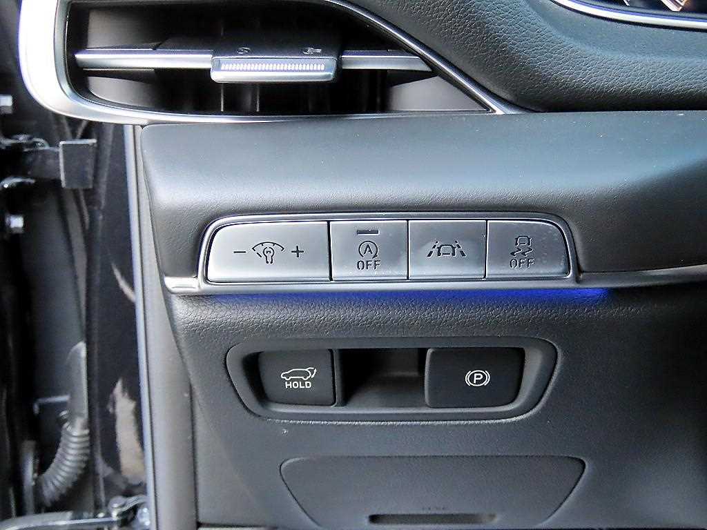 Genesis GV80 - Vista 12