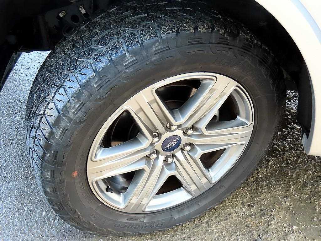 Ford F-Series 2018 Plateado - Importación desde Corea - HF Imports Iquique - Foto 20