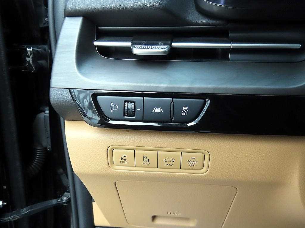 KIA Carnival - Vista 12