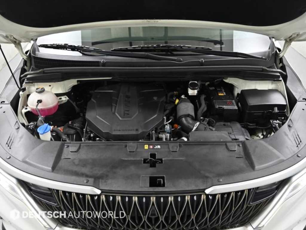 KIA Carnival - Vista 6