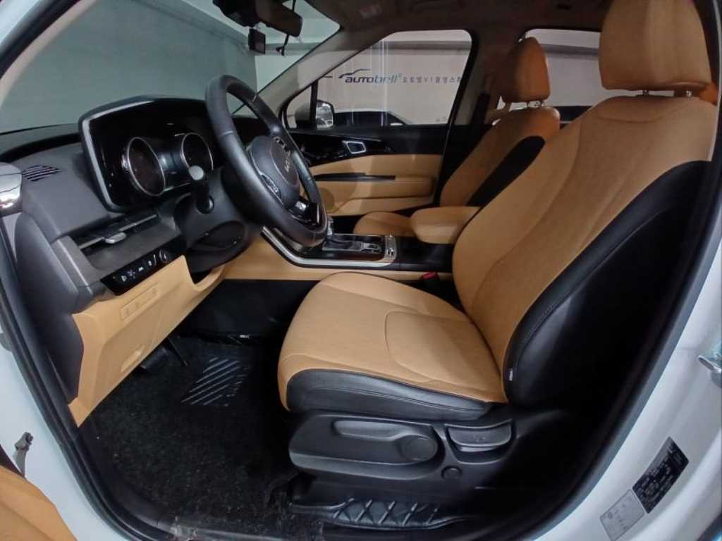 KIA Carnival - Vista 7