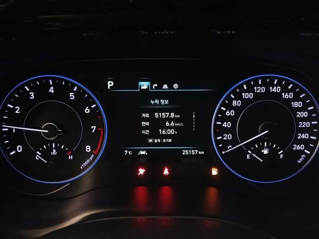 HYUNDAI Palisade - Vista 10