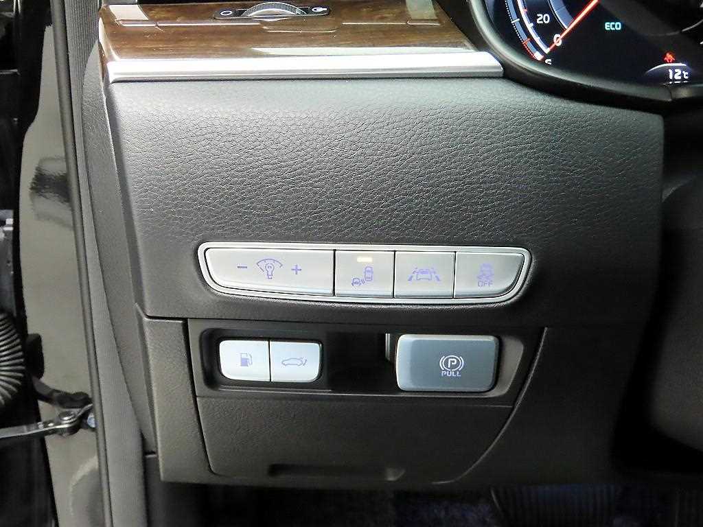 KIA K9 2019 - Importación desde Corea - HF Imports Iquique - Foto 13