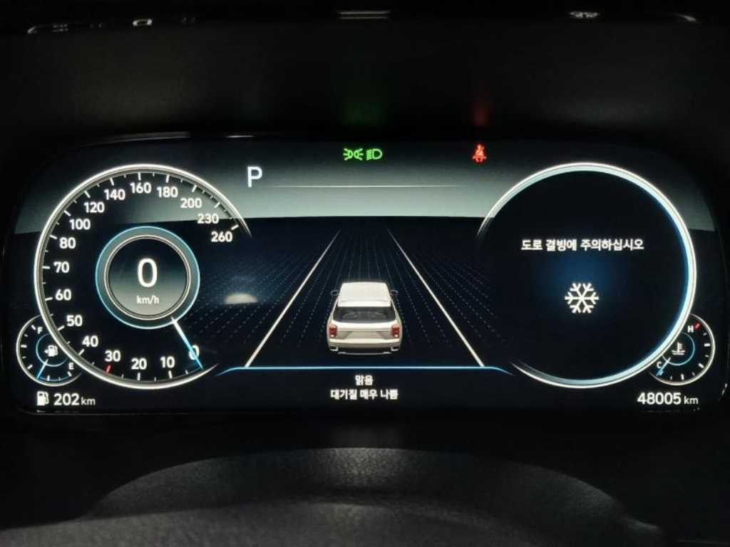 HYUNDAI Palisade - Vista 10