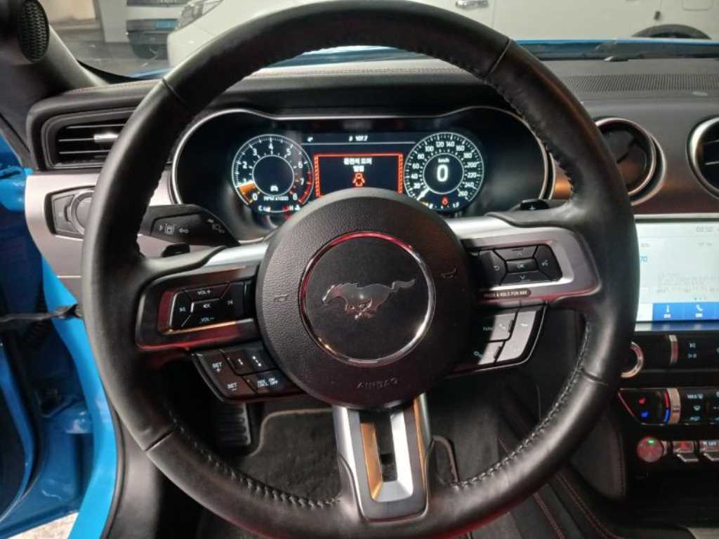 Ford Mustang - Vista 11