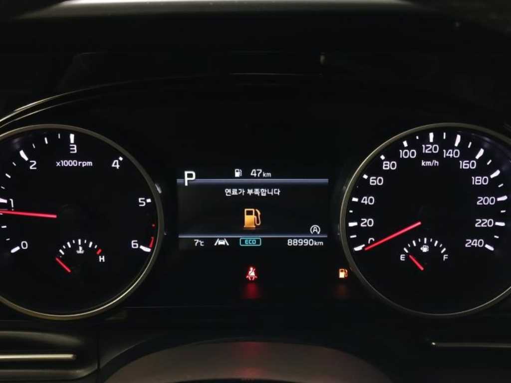 KIA Carnival - Vista 10