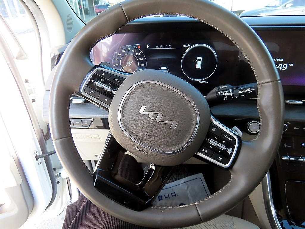 KIA Carnival - Vista 9