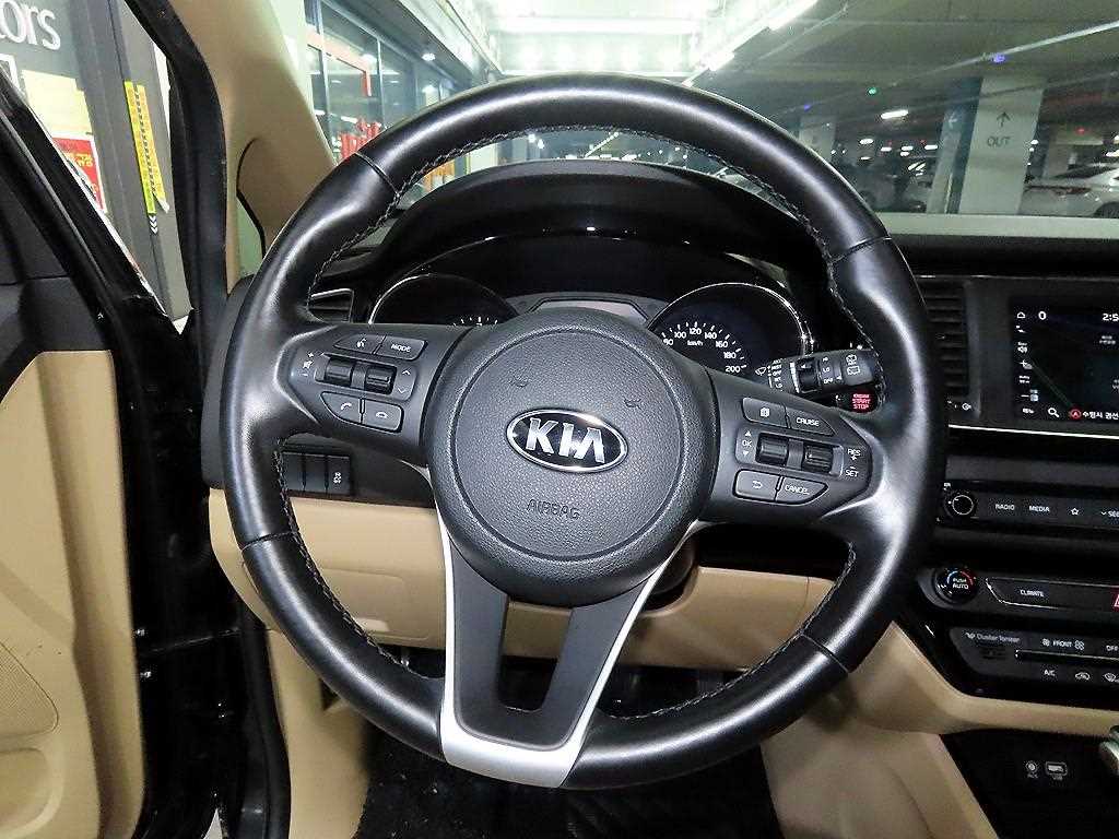 KIA Carnival - Vista 8