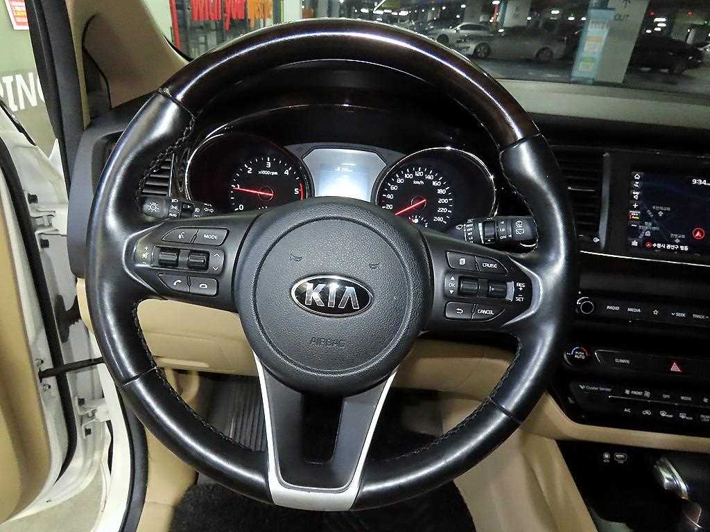 KIA Carnival - Vista 8