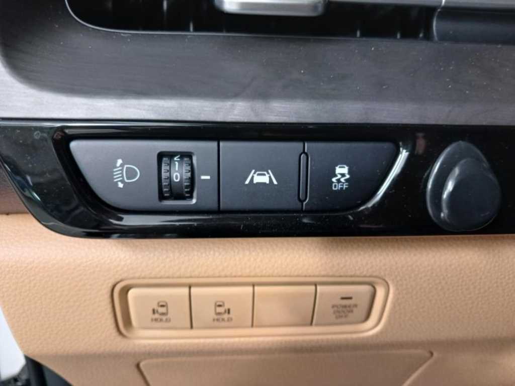 KIA Carnival - Vista 11