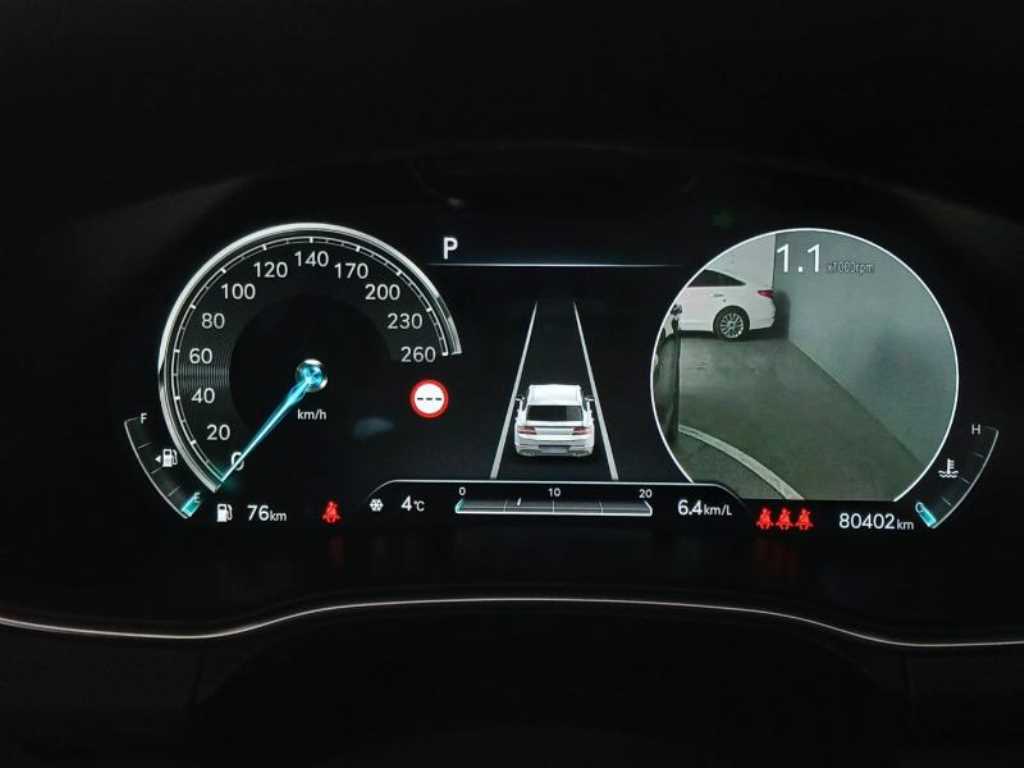 Genesis GV80 - Vista 10