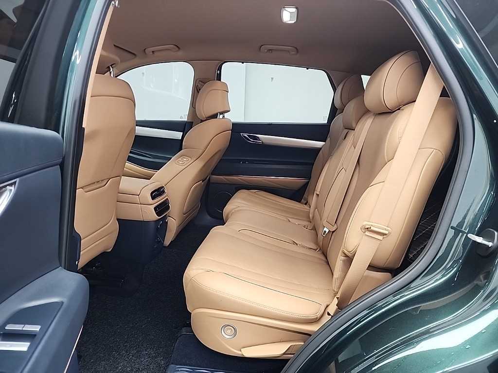 Genesis GV80 - Vista 12