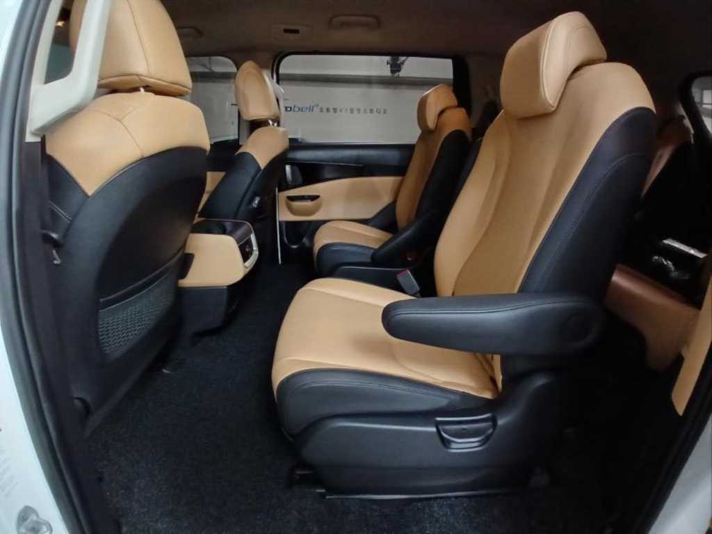 KIA Carnival - Vista 8