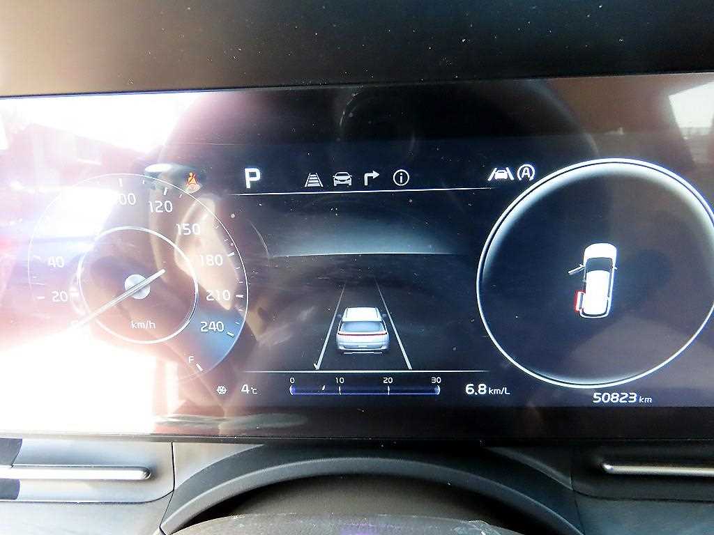 KIA Carnival - Vista 10