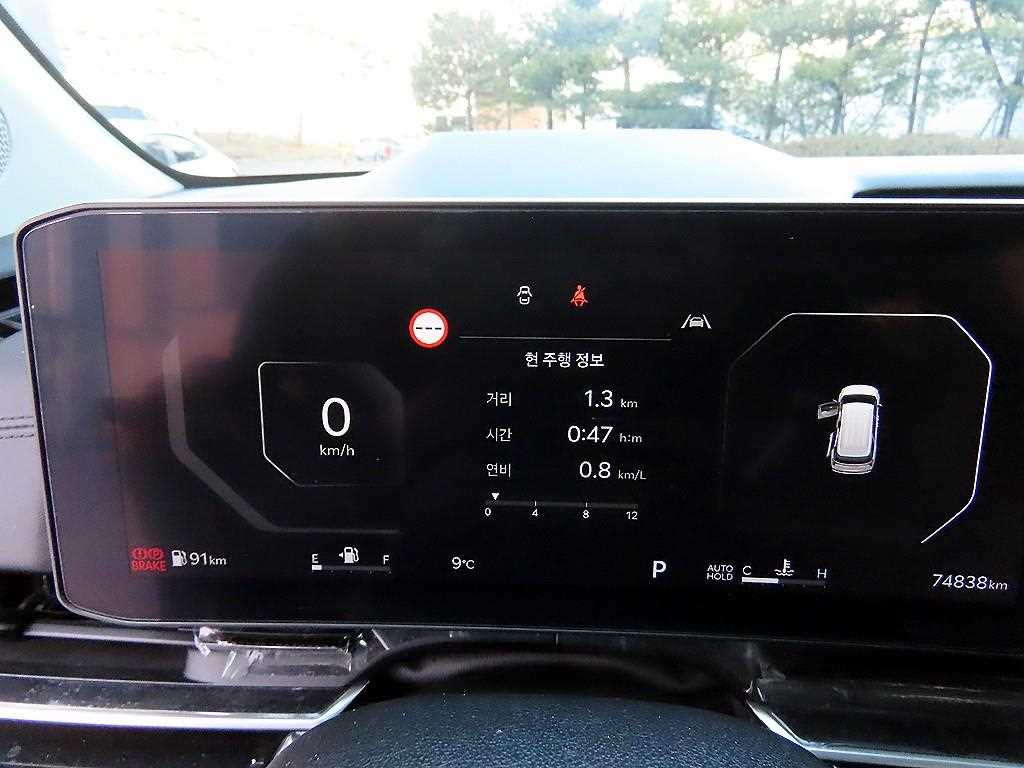 KIA Carnival - Vista 9