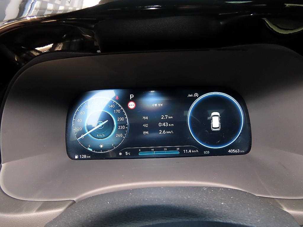 HYUNDAI Palisade - Vista 10