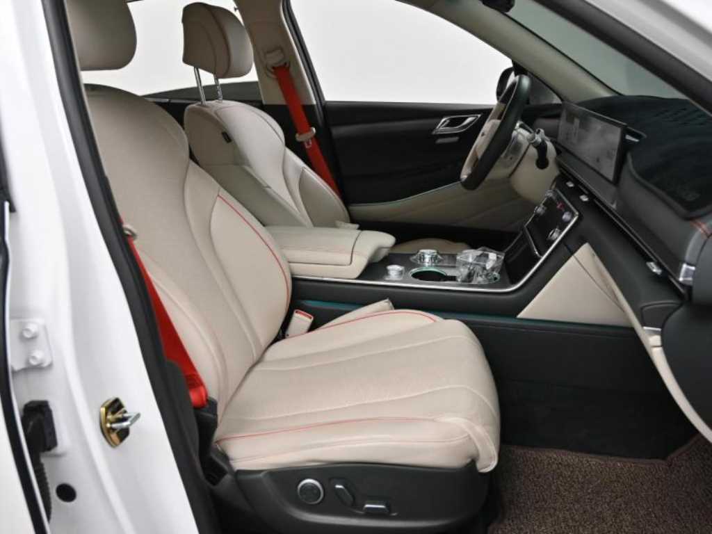 Genesis GV80 - Vista 10