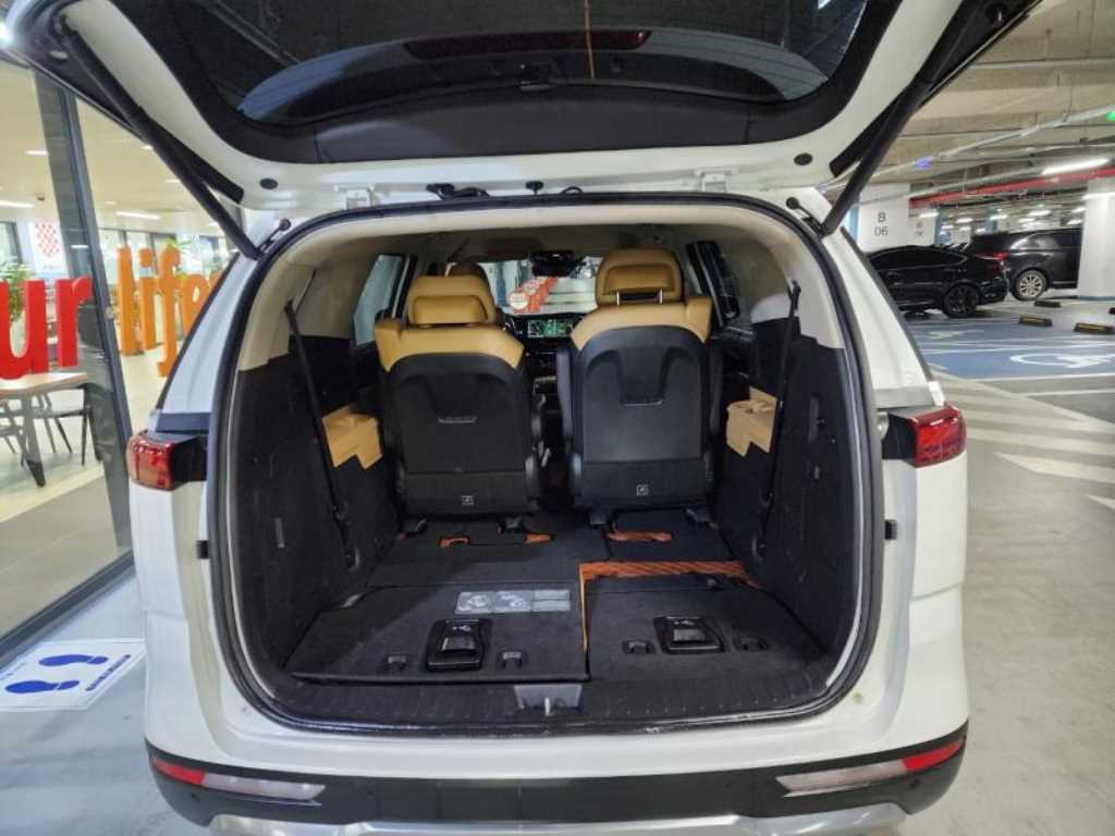 KIA Carnival - Vista 6