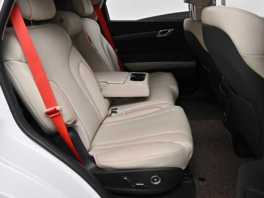 Genesis GV80 - Vista 12