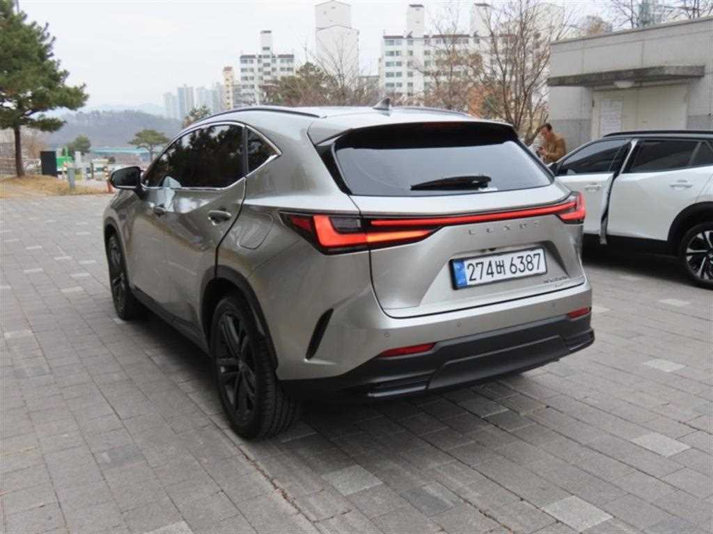 Lexus NX - Vista 4