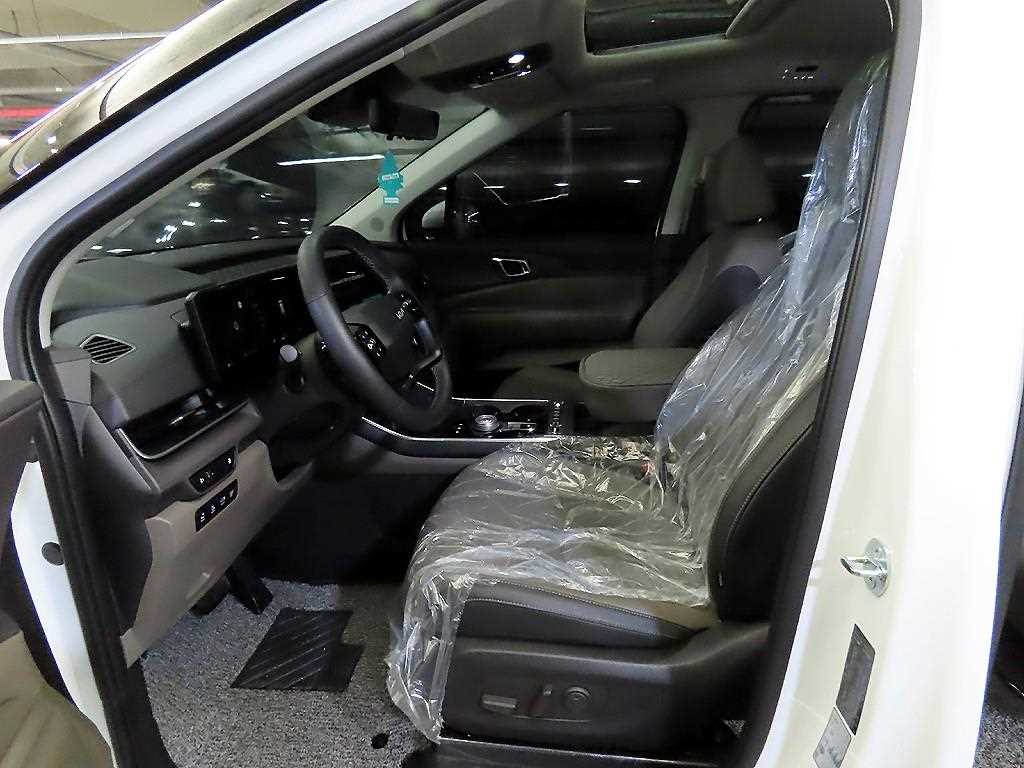 KIA Carnival - Vista 6