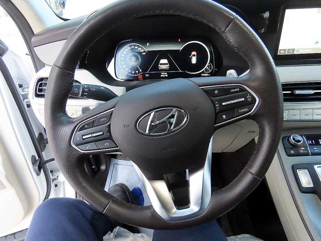 HYUNDAI Palisade - Vista 9