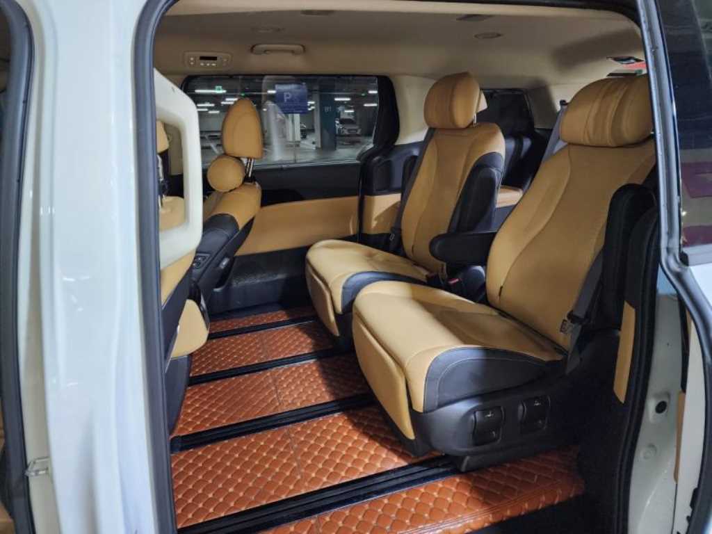 KIA Carnival - Vista 9