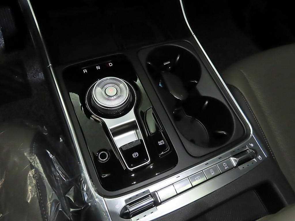 KIA Carnival - Vista 12