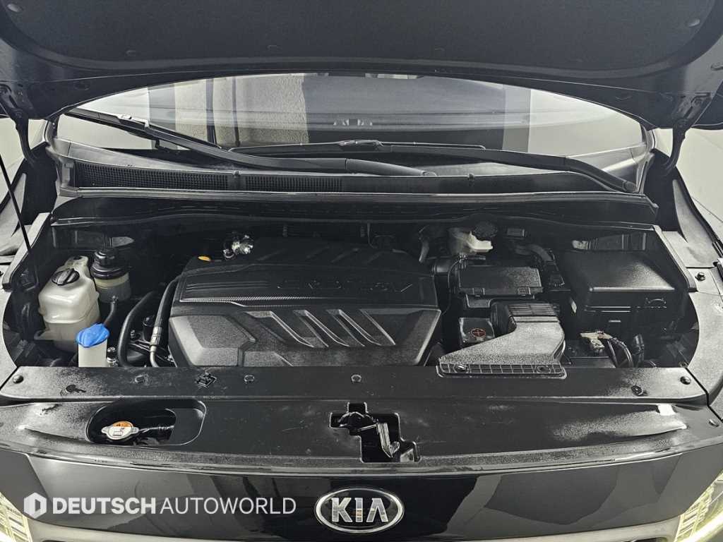 KIA Carnival - Vista 6