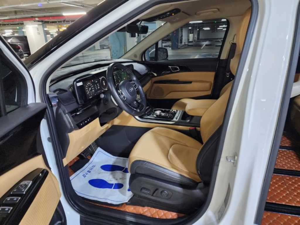 KIA Carnival - Vista 8