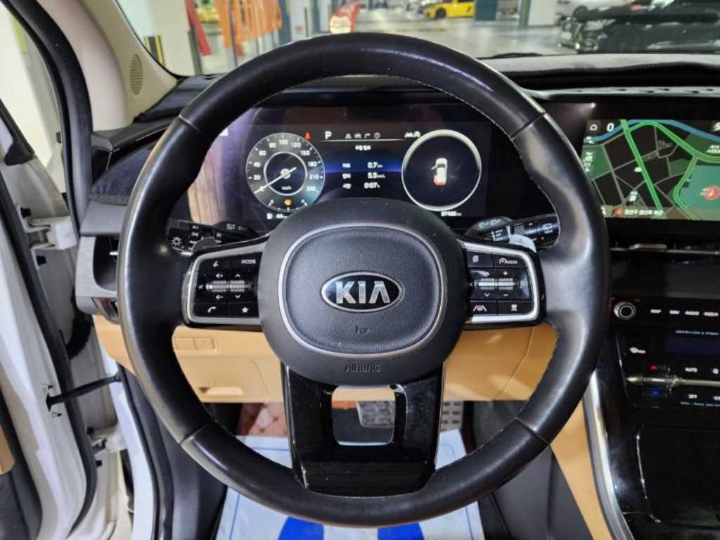KIA Carnival - Vista 11