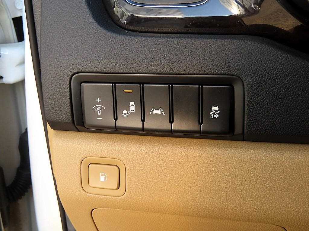 KIA Carnival - Vista 12