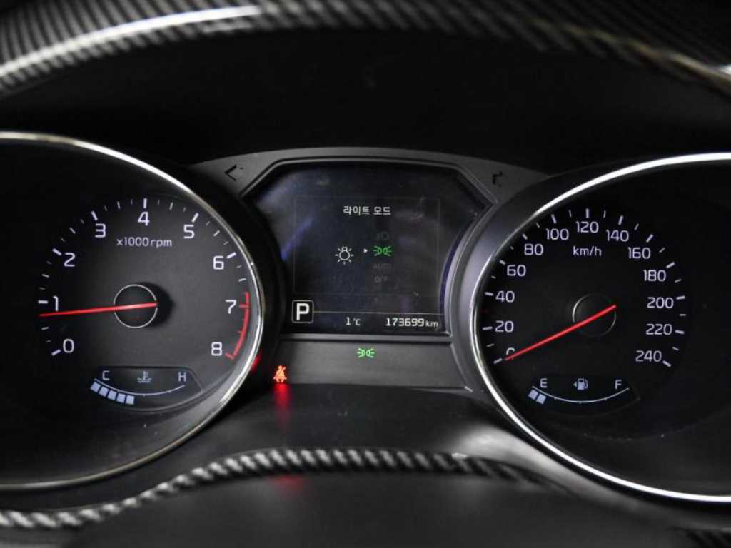 KIA Carnival - Vista 8