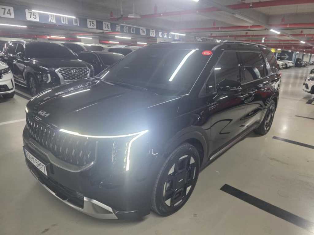 KIA Carnival - Vista 8