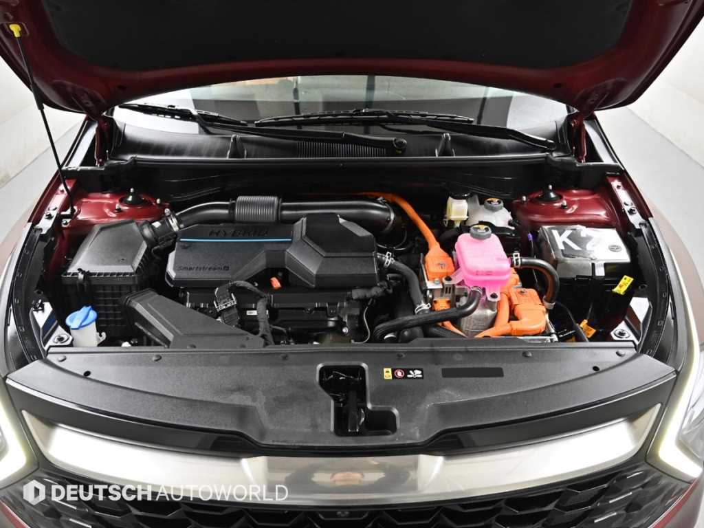 KIA Sportage - Vista 6