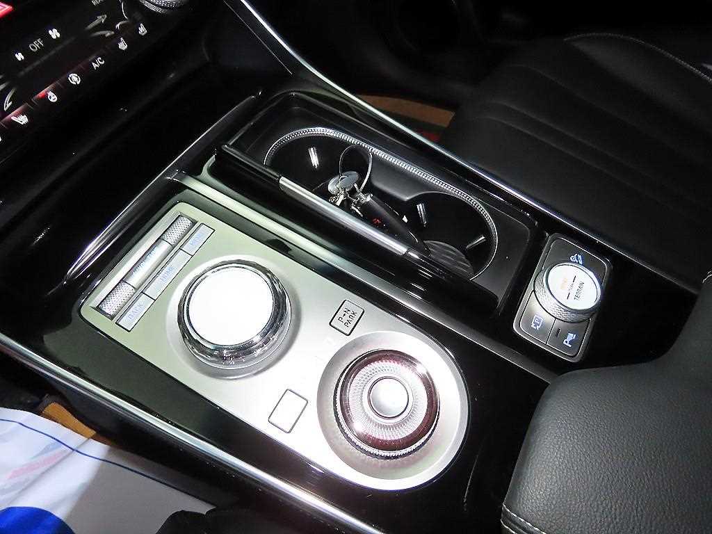 Genesis GV80 - Vista 12