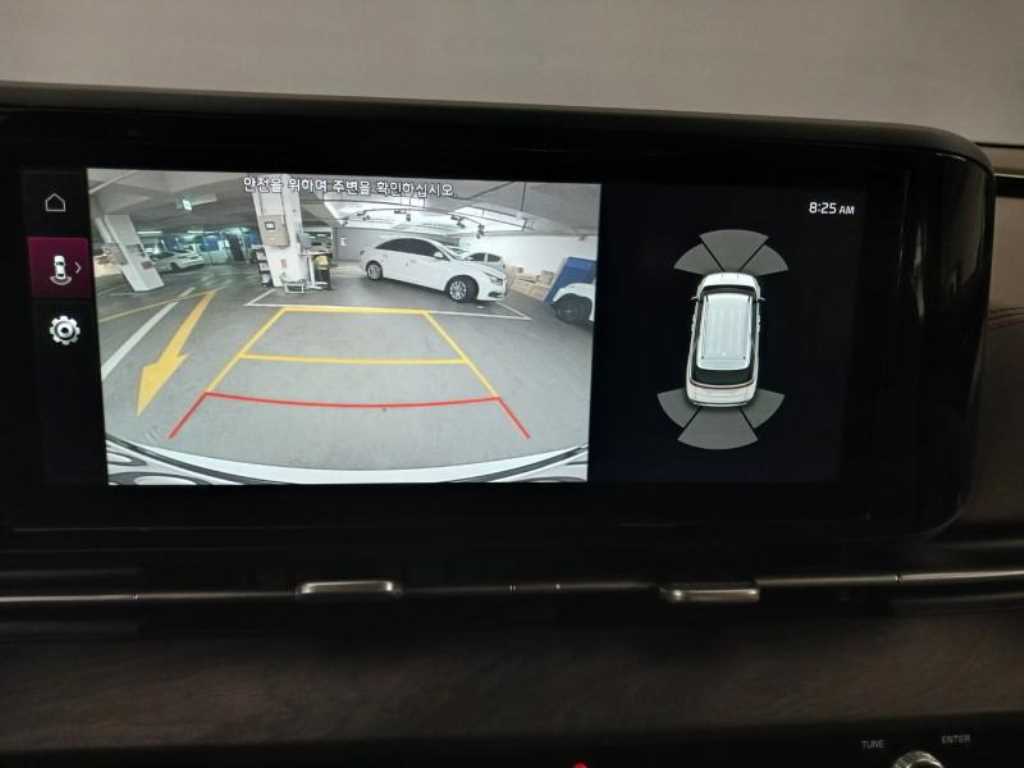 KIA Carnival - Vista 12