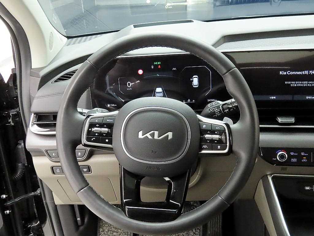 KIA Carnival - Vista 8
