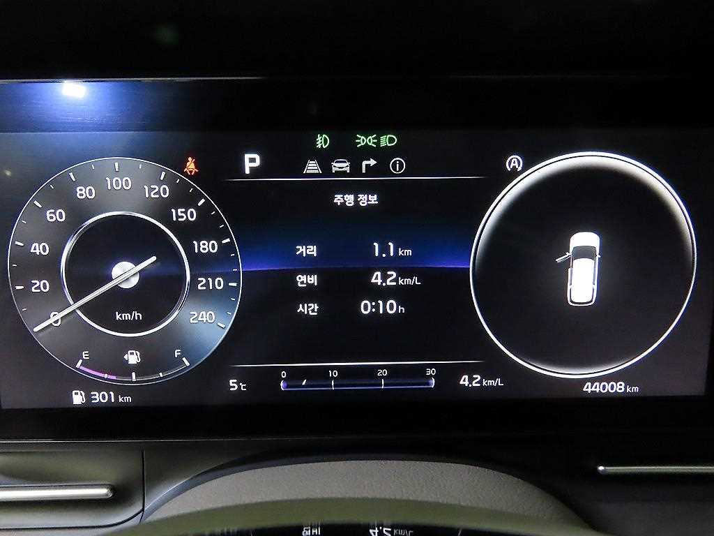 KIA Carnival - Vista 9