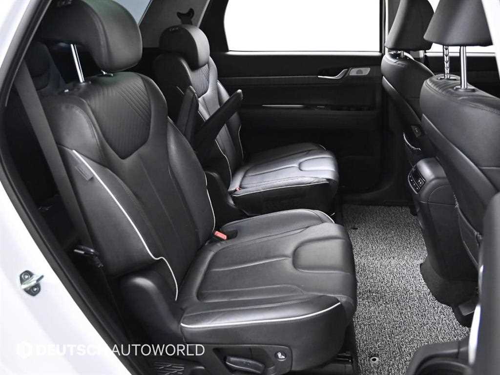 HYUNDAI Palisade - Vista 12