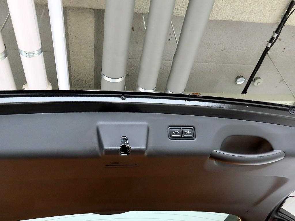 KIA Carnival - Vista 6